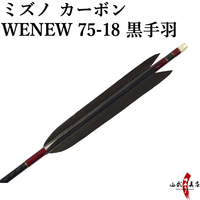 ミズノWENEW