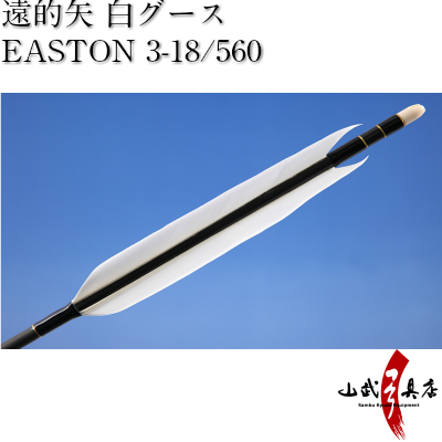 近的矢 イーストンアルミカーボン3−18−560 矢尺93cm 高く