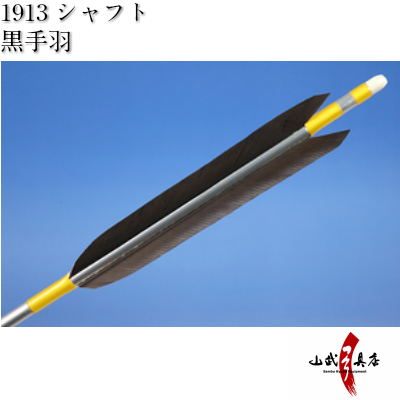黒手羽 1913シャフト 6本組【D-1319】