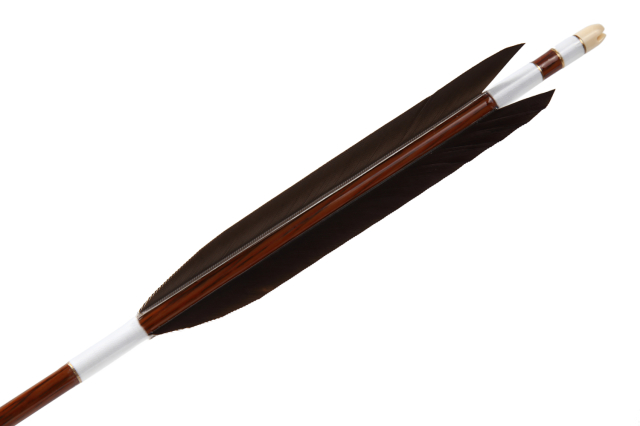 ハヤブサカーボン B級品 黒手羽 76-22 6本組 【D-1887】