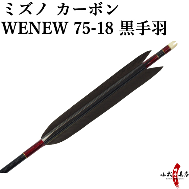 弓道 矢 黒手羽 Mizuno カーボンシャフト WENEW（ウィニュー 