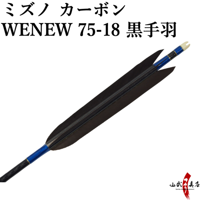 弓道 矢 黒手羽 Mizuno カーボンシャフト WENEW（ウィニュー 