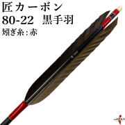 弓カーボン 赤　5個セット 楽天市場】弓道 矢 SY カーボン矢 6本組黒手羽 SYB7020シャフト