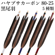 hayabusa カーボン