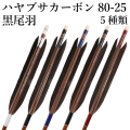 黒尾羽 ハヤブサカーボン 80-25 6本組 5種類 黒羽 弓道 弓具 矢 隼 カーボン矢 【D-1793】