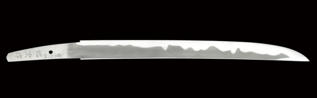 日本最大級の販売実績を誇る専門店「コレクション情報」の通信販売ページ