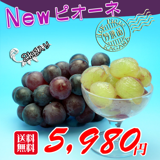 香川産のニューピオーネのお取り寄せ便2kgセット/通販/ふるさと納税/販売店