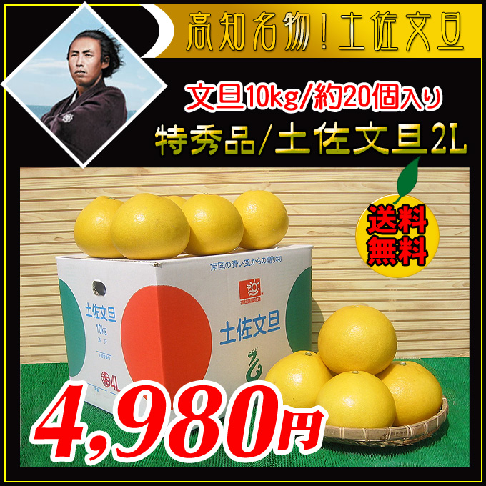 土佐文旦の通販。販売サイト。新鮮市場【産直あきんど】