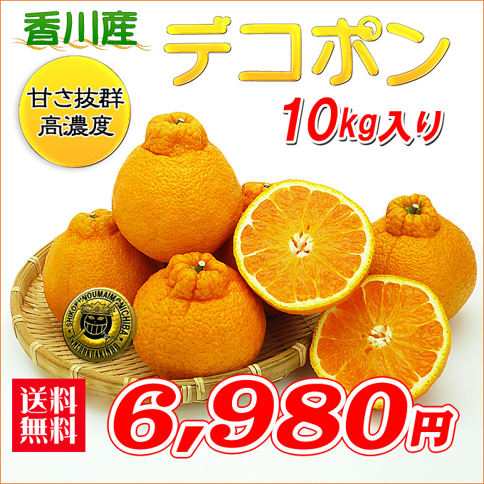 デコポンの通販。お取り寄せサイト