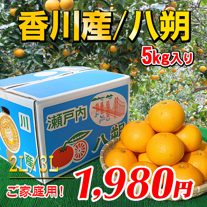 【香川県産】訳あり八朔5kg［ご家庭用］