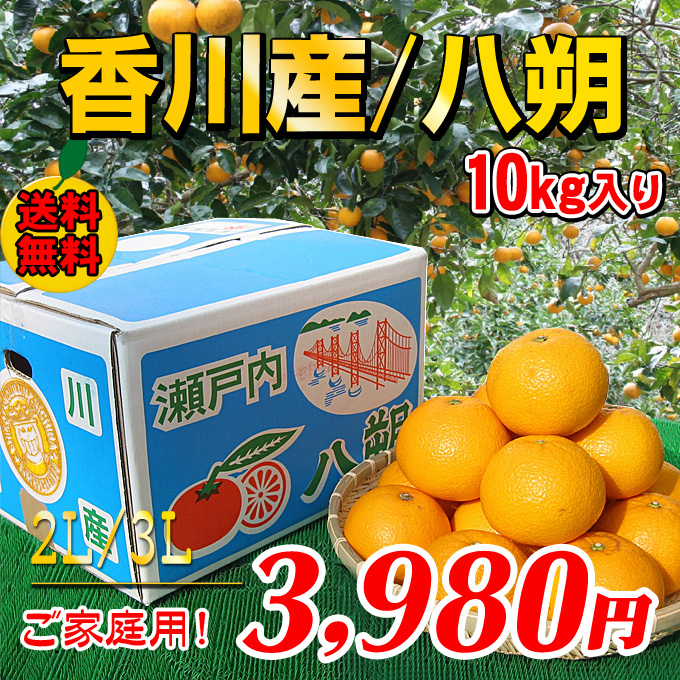 【送料無料】訳あり八朔10kg［ご家庭用］