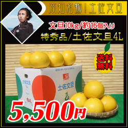 特選品/贈答品の文旦は新鮮市場【産直あきんど】