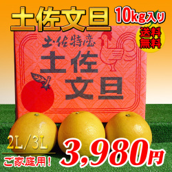 【送料無料】高知産！ご家庭用土佐文旦10kg