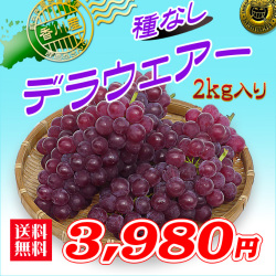 香川産！白方の種なしブドウの通販サイト。新鮮市場【産直あきんど】