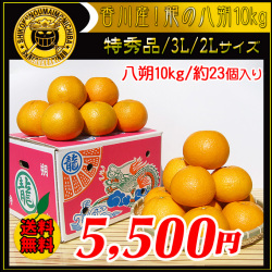 八朔の通販。お取り寄せサイト。新鮮市場【産直あきんど】