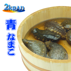 瀬戸内海産のナマコ/海鼠/なまこ/販売/通販