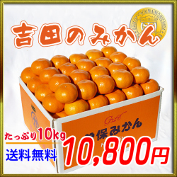 [贈答品]吉田曽保みかん10kg
