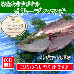 香川県産のオリーブハマチの通販。