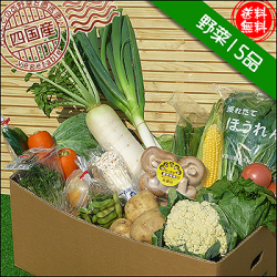 四国の野菜15品