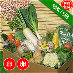 四国の野菜15品+卵20個