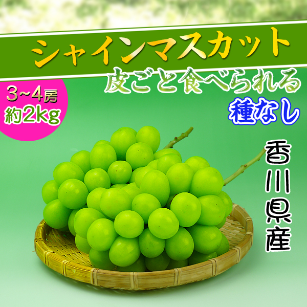 皮ごとたべれる種なしぶどう/秀品シャインマスカット2kgの詰め合わせ