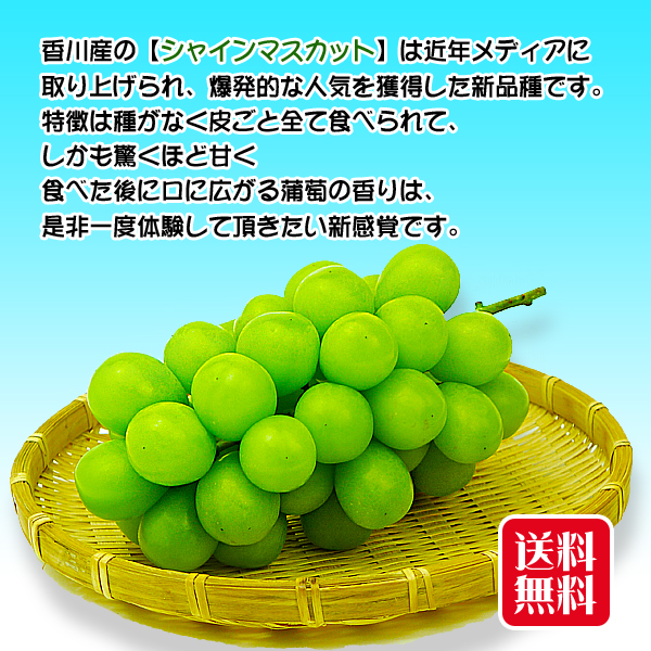 皮ごとたべれる種なしぶどう/秀品シャインマスカット2kgの詰め合わせ