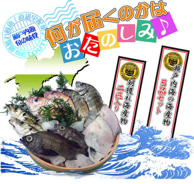 鮮魚の通販専門店！放射能測定済みで安心です♪