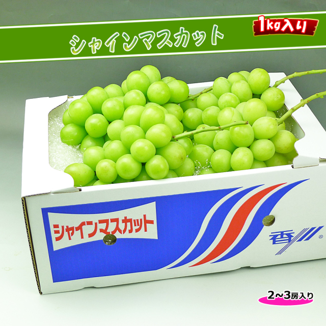 皮ごとたべれる種なしぶどう/秀品シャインマスカット2kgの詰め合わせ