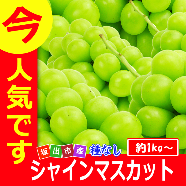 皮ごとたべれる種なしぶどう/秀品シャインマスカット2kgの詰め合わせ