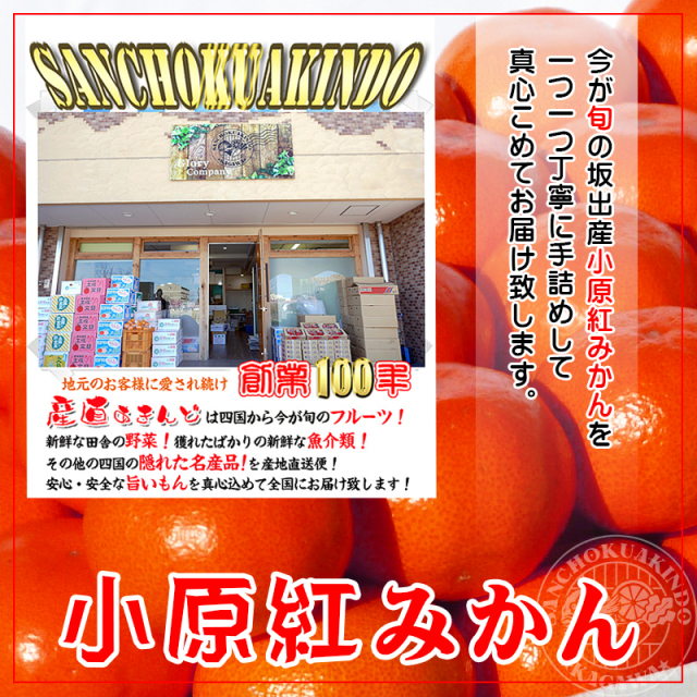 小原紅早生みかんの通販/販売店。新鮮市場【産直あきんど】