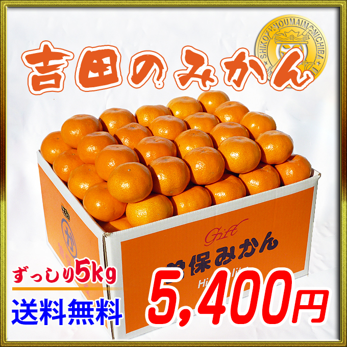 [贈答品]香川県産の吉田曽保みかん10kg