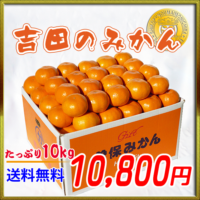 [贈答品]吉田曽保みかん10kg