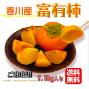 秋の味覚　富有柿