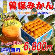 香川県産　曽保みかん【お歳暮】贈答