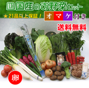 四国の野菜の詰め合わせ21品+卵10個