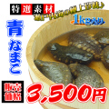 瀬戸内海産　青ナマコ1ｋｇ