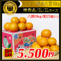 八朔の通販。お取り寄せサイト。新鮮市場【産直あきんど】