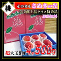 香川県の桃飯山町の桃　丸亀市の桃