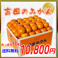 [贈答品]吉田曽保みかん10kg