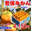 香川県産の【お歳暮用】プレゼントみかん10㎏
