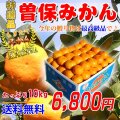 香川県産　曽保みかん【お歳暮】贈答