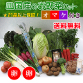 四国の野菜の詰め合わせ21品+卵20個