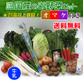 四国の野菜の詰め合わせ21品+牛乳1本