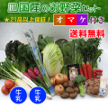 四国の野菜の詰め合わせ21品+牛乳2本