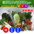 四国の野菜の詰め合わせ21品+卵20個+牛乳1本