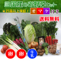 四国の野菜の詰め合わせ21品+卵20個+牛乳1本