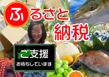 ふるさと納税はじめました。