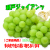 瀬戸ジャイアンツ/通販/お取り寄せ