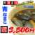 瀬戸内海産　青ナマコ1ｋｇ