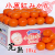 小原紅早生みかん5kg/通販/お歳暮/ギフト/三越/熨斗/包装